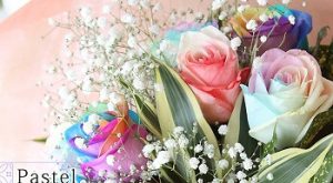 敬老の日にぴったりの花言葉 長生きや感謝の花言葉は トレンドインフォメーション 敬老の日にぴったりの花言葉 長生きや感謝の花言葉は トレンドインフォメーション