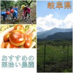 岐阜県でおすすめの栗拾いが出来る農園特集