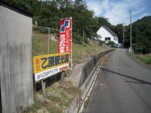 乙原観光園 ｜兵庫県の栗拾いおすすめスポット