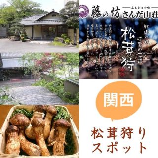 関西の松茸狩りスポット7選｜時期・料金・松茸料理は？