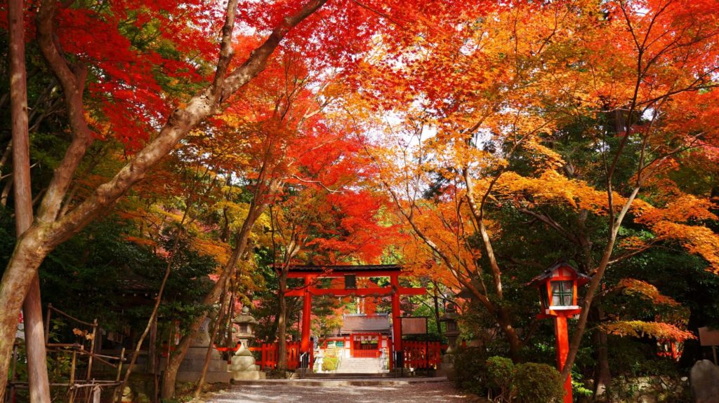 大原野神社　紅葉