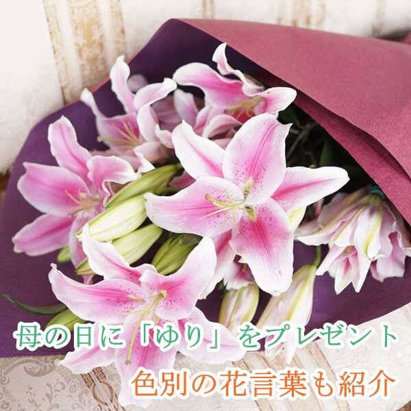 母の日の花にゆりをプレゼント|人気のゆり8選と色別の花言葉を紹介!