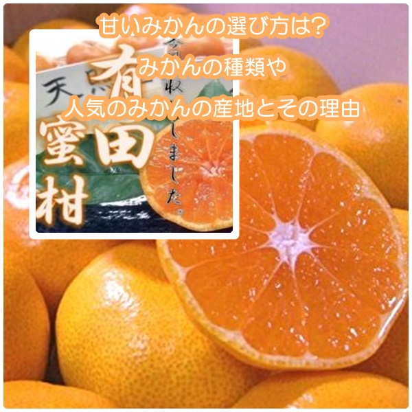 今年の甘いみかんの見分け方は?種類や人気のみかんの産地とその理由は?