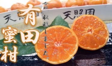 天照園