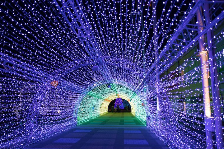 海遊館　光のトンネル