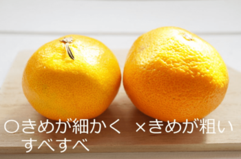 今年の甘いみかんの見分け方は 種類や人気のみかんの産地とその理由は トレンドインフォメーション 今年の甘いみかんの見分け方は 種類や人気のみかんの産地とその理由は トレンドインフォメーション