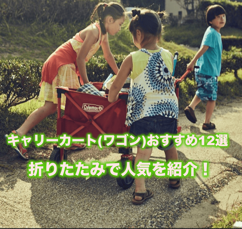 キャリーカート(ワゴン)おすすめ12選|折りたたみで人気を紹介!