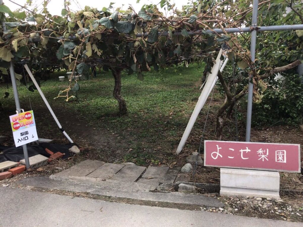 果樹の森 よこせ梨園