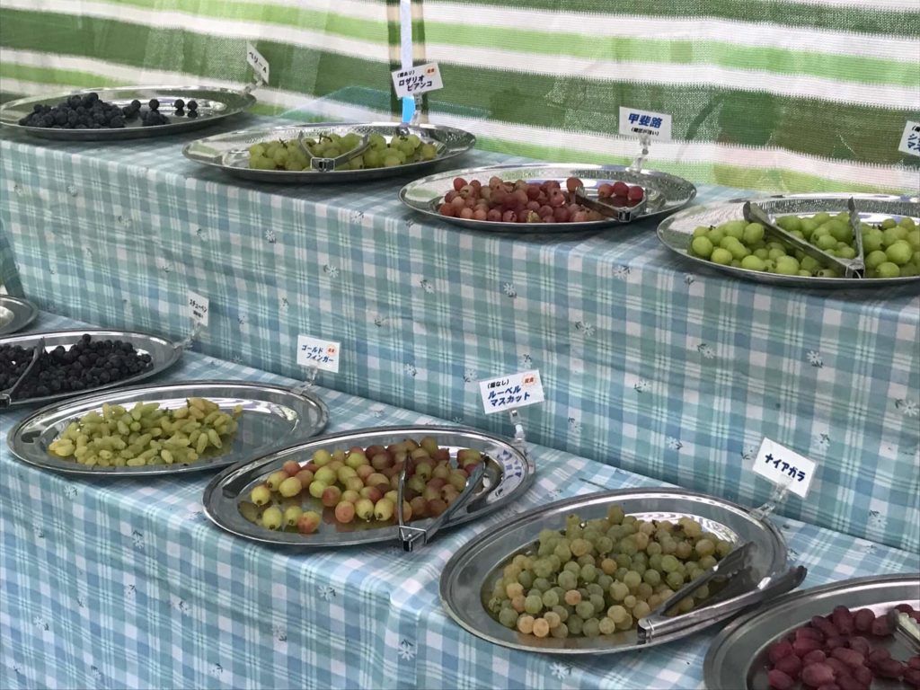 片田園　フルーツバイキングの様子
