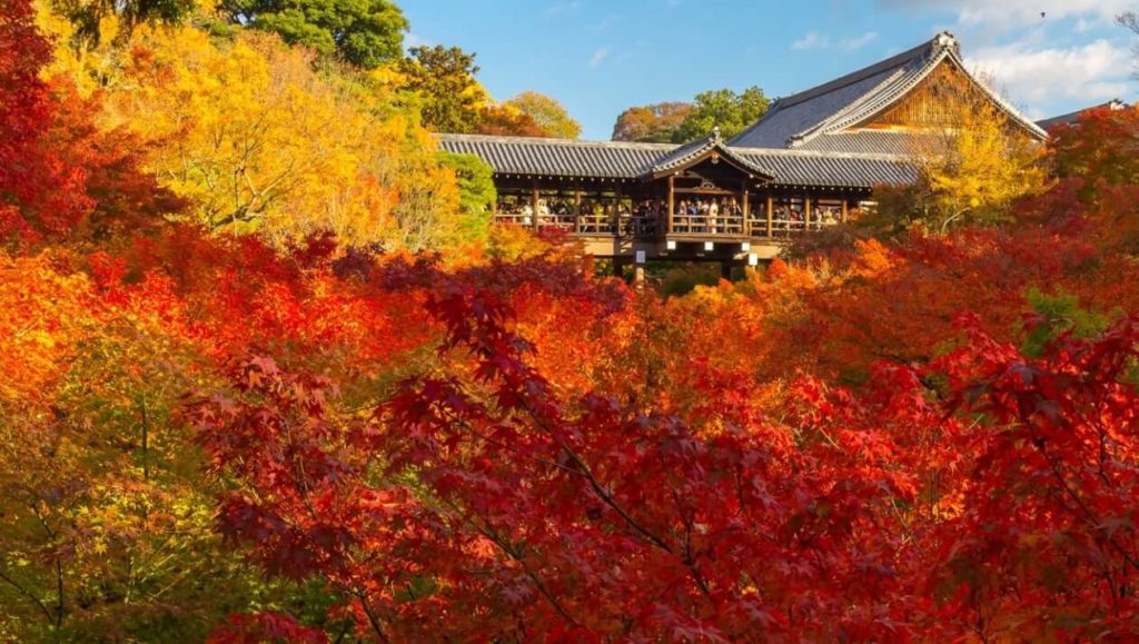 東福寺の紅葉