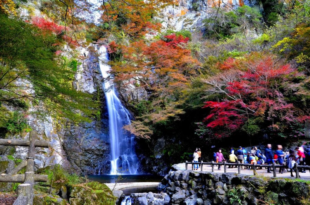 府営箕面公園の紅葉