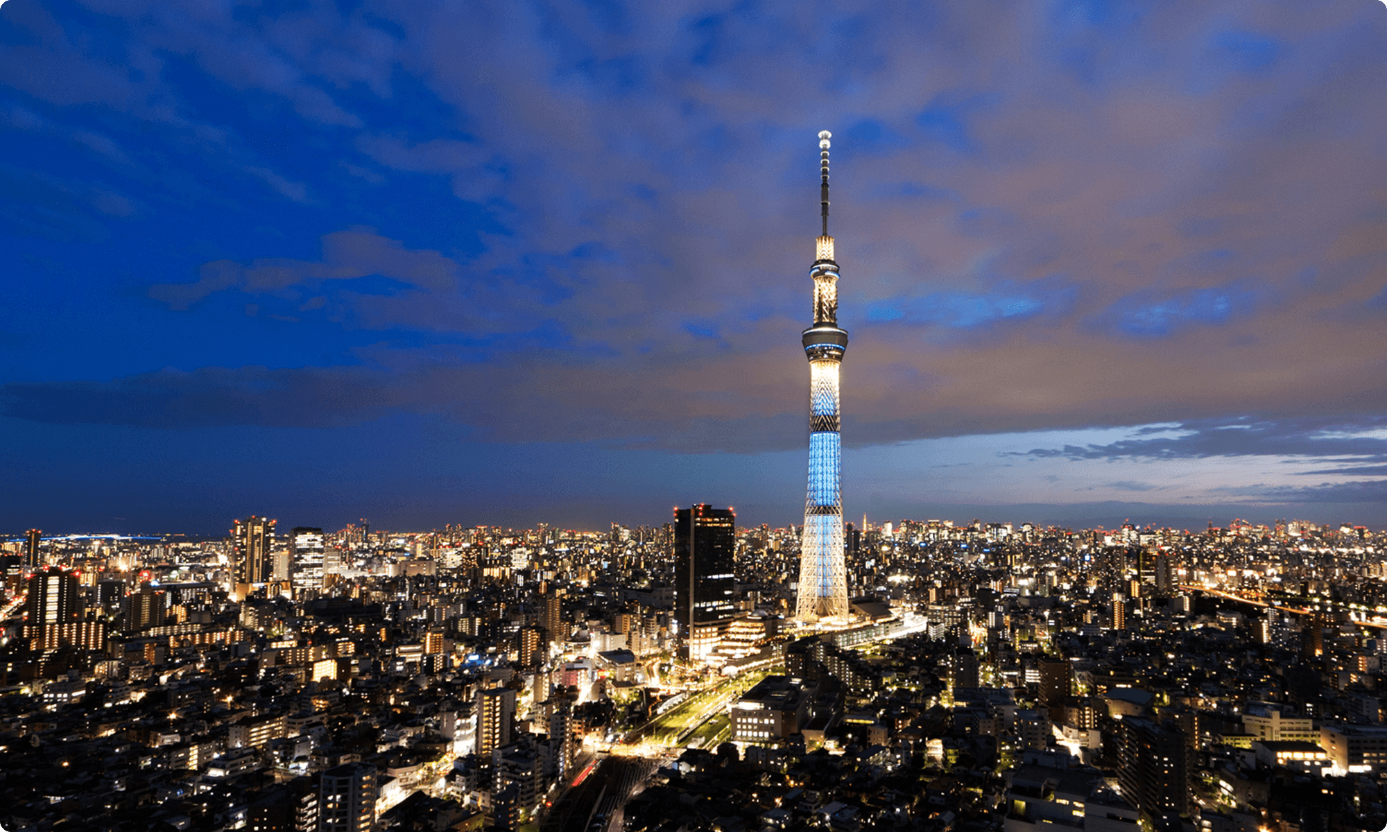 遠くから見た東京スカイツリー