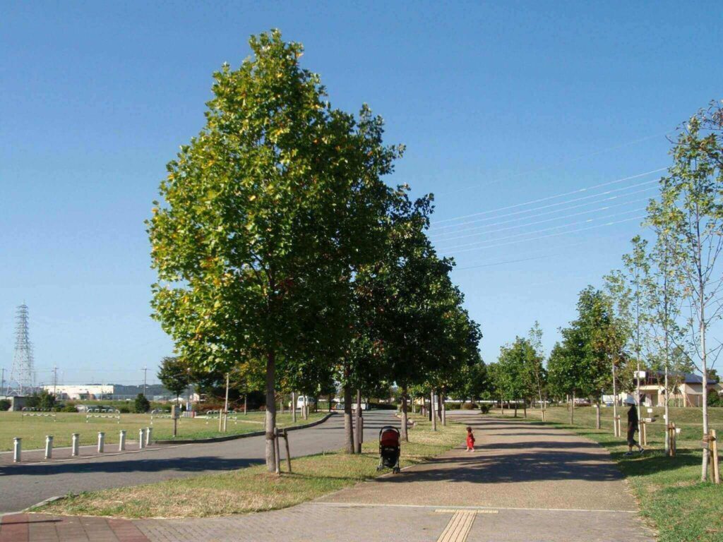 石川河川公園