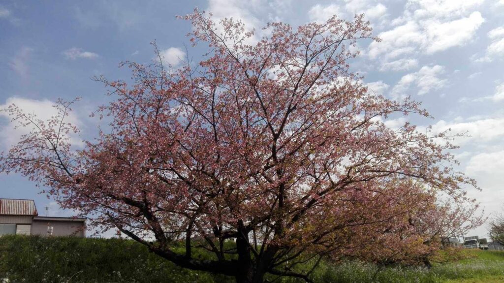 多摩川遊園