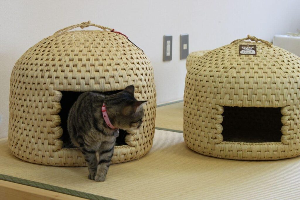 猫ちぐらとは?おしゃれでおすすめの猫ちぐら11選!簡単な作り方も紹介!